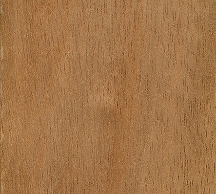 bangkirai deck wood in delhi